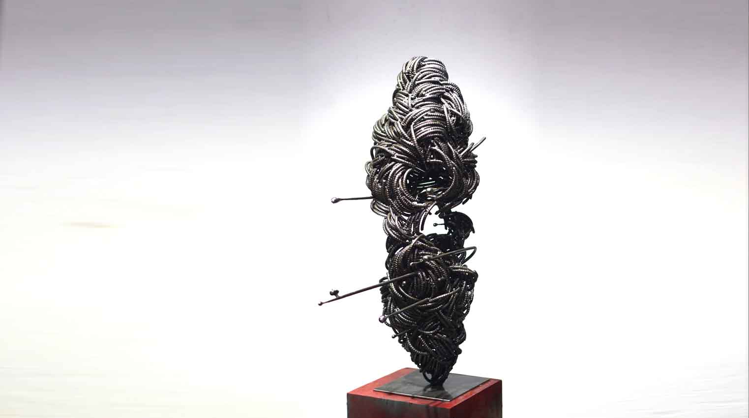 vu binh minh