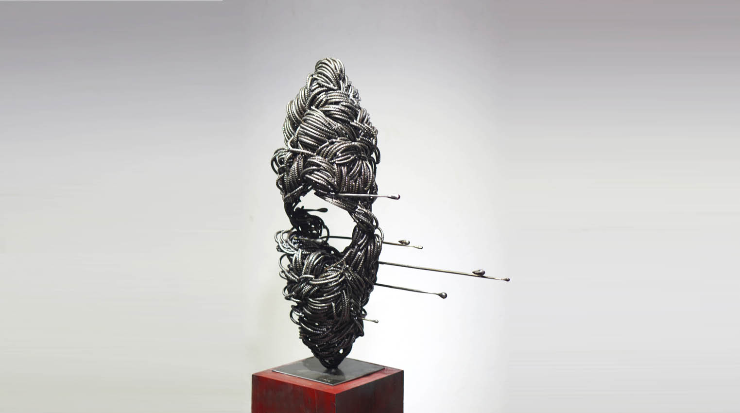 vu binh minh